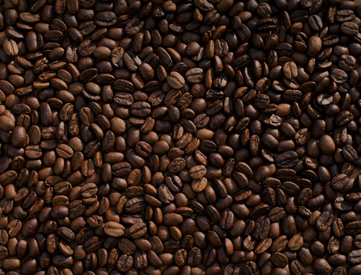 Fresh coffee, ready for a product story